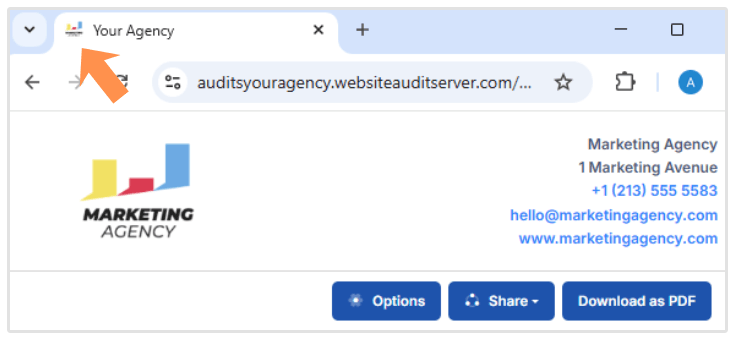 Audit Report Favicon